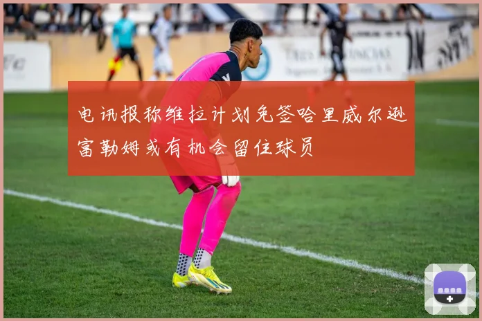 电讯报称维拉计划免签哈里威尔逊富勒姆或有机会留住球员