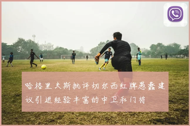 哈格里夫斯批评切尔西红牌愚蠢建议引进经验丰富的中卫和门将